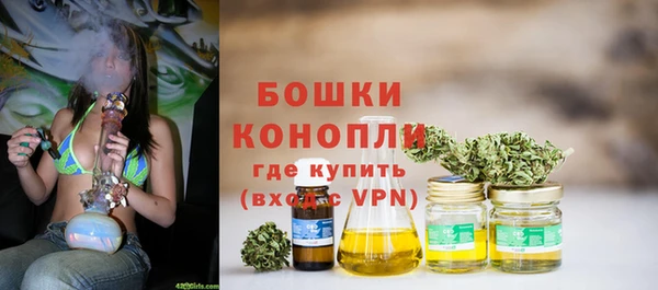 гидра Аркадак