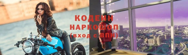 гидра Аркадак