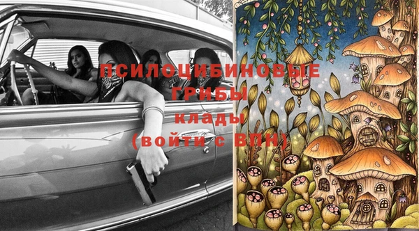 гидра Аркадак
