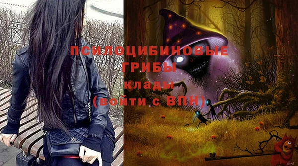 гидра Аркадак